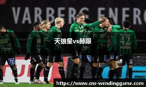 天狼星vs赫跟